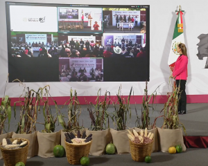 ESTADO FORTALECE APOYOS A FAMILIAS AFECTADAS POR LLUVIAS EN LA HUASTECA
