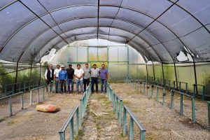 IMPULSAN SISTEMA ACUAPÓNICO SUSTENTABLE EN SAN LUIS POTOSÍ