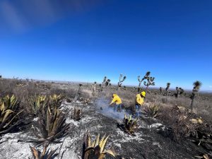 INCENDIO EN SANTO DOMINGO QUEDA BAJO CONTROL TOTAL