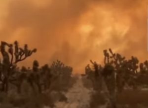 Descontrolado incendio amenaza viviendas en Santo Domingo