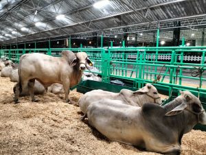 MÁS PRODUCCIÓN Y EMPLEO EN EL CAMPO POTOSINO