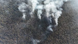 ESTADO AVANZA EN CONTROL DE INCENDIO EN CIUDAD DEL MAÍZ