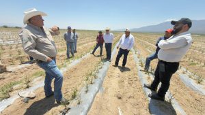 ESTADO RESPONDE A DAÑOS POR GRANIZADA EN EL ALTIPLANO