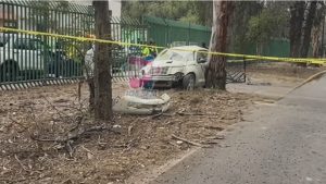 Muere conductor en choque contra la reja y árbol del Tangamanga